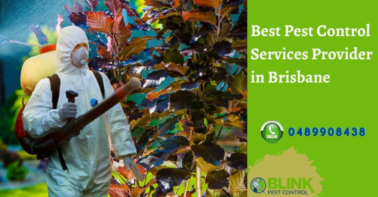 Best Pest Control Services
