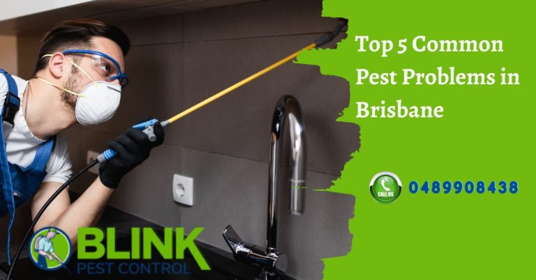 Common Pest Problems in Brisbane