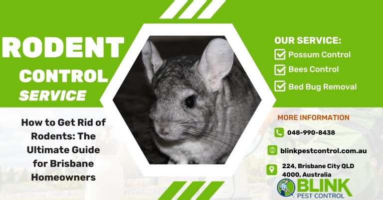 Get Rid of Rodents