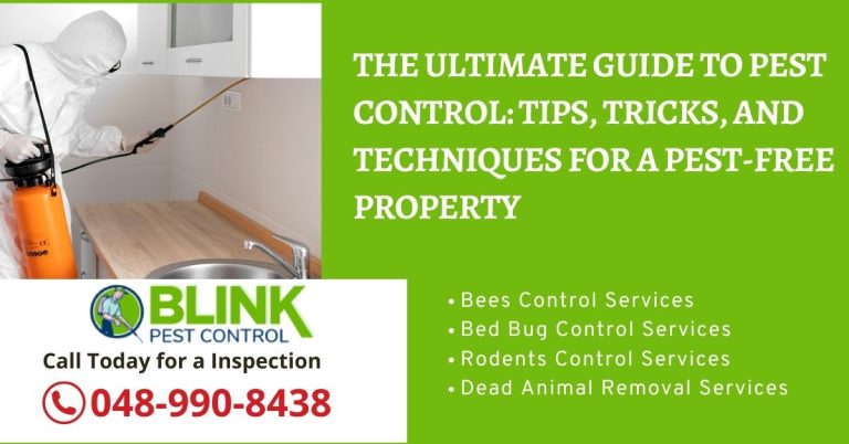 Ultimate Guide to Pest Control